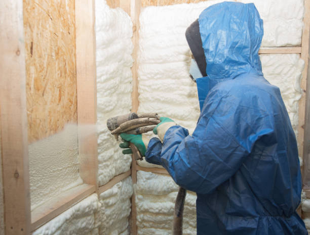 Best Soundproof Insulation  in Parsons, WV